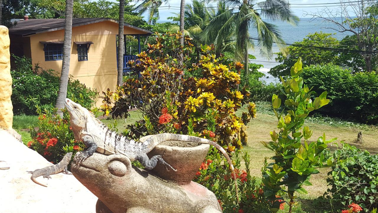 Hotel Los Mangos Montezuma Extérieur photo
